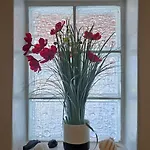 Appartement Milobsidian House Zefiría